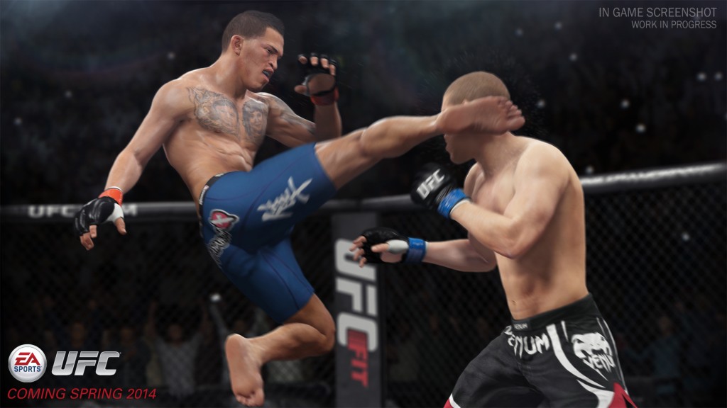 UFC 2014