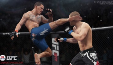 UFC 2014