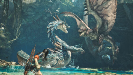 combat dragon